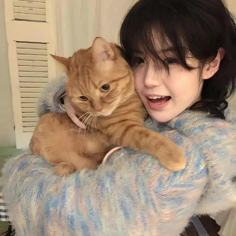 万渣朝凰第四季